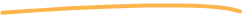 Our services